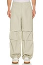 view 1 of 5 The Parachute Pant in Light Beige