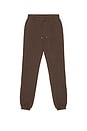 view 1 of 5 The Fleece Jogger in brown
