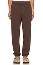 view 3 of 5 The Fleece Jogger in brown