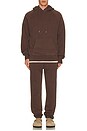 view 5 of 5 The Fleece Jogger in brown