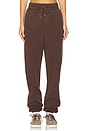 view 1 of 5 PANTALON SWEAT in brown