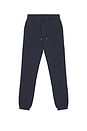 view 1 of 5 The Fleece Jogger in navy