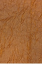 view 4 of 5 Crinkled Short Sleeve Shirt in Brown