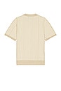 view 2 of 4 Short Sleeve Pattern Knit Polo in Cream & Natural