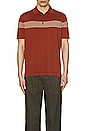 view 3 of 4 Chest Stripe Polo in Rust & Tan