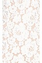 view 4 of 4 Belvue Lace Dress in Ivory