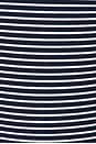 view 5 of 5 StretchWell Maran 4 Inch Short in Academy Navy Stripe