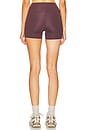 view 4 of 6 Lorena 3 Inch Shorts in Raisin