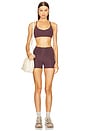 view 5 of 6 Lorena 3 Inch Shorts in Raisin