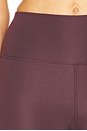 view 6 of 6 Lorena 3 Inch Shorts in Raisin