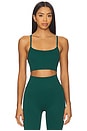 view 1 of 4 Stretchwell Emery Sports Bra in Forest Green