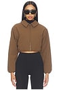 view 1 of 4 CHAQUETA BRONTE in Cocoa