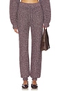 view 1 of 6 PANTALON DALE in Raisin Heather