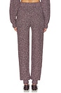 view 4 of 6 PANTALON DALE in Raisin Heather