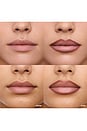 view 8 of 8 360 Contour Lipliner in Nutmeg