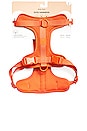 view 2 of 6 x REVOLVE Large Harness in Blaze