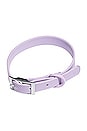 view 1 of 7 Extra Small Collar in Lilac