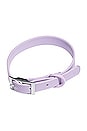 view 1 of 7 WILD ONE DOG COLLAR ドッグカラー in Lilac