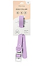 view 2 of 7 WILD ONE DOG COLLAR ドッグカラー in Lilac