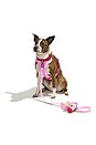 view 4 of 5 Small Leash in Bubblegum Colorblock