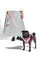 view 6 of 5 Small Leash in Bubblegum Colorblock