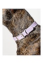 view 5 of 7 Medium Collar in Lilac