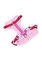 view 1 of 6 Extra Small Harness in Bubblegum Colorblock