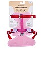 view 2 of 6 Extra Small Harness in Bubblegum Colorblock