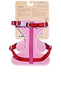 view 4 of 6 Extra Small Harness in Bubblegum Colorblock