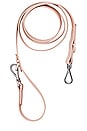 view 1 of 6 Standard Leash in Blush