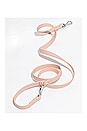 view 4 of 6 Standard Leash in Blush