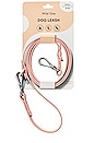 view 2 of 6 Small Leash in Blush