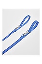 view 5 of 6 CORREA WILD ONE LEASH in Moonstone