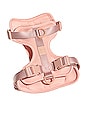 view 1 of 5 WILD ONE LARGE HARNESS ハーネス in Blush