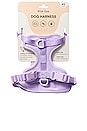 view 2 of 7 ARNÉS WILD ONE EXTRA SMALL HARNESS in Lilac