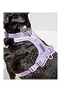 view 5 of 7 Extra Small Harness in Lilac