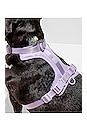 view 5 of 7 Small Harness in Lilac