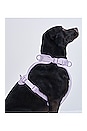 view 6 of 7 Small Harness in Lilac