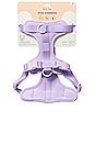 view 2 of 7 Medium Harness in Lilac