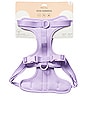 view 2 of 7 Large Harness in Lilac