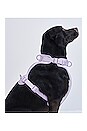 view 6 of 7 Large Harness in Lilac