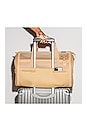 view 4 of 6 TRANSPORTADOR WILD ONE AIR TRAVEL CARRIER in Tan