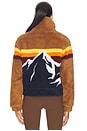 view 4 of 5 Snowmass Jacket in Brown