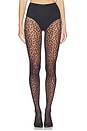view 1 of 2 Sweet Dots Tights in Black