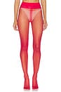 view 2 of 3 Individual 10 Back Seam Tights in Cranberry
