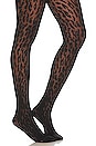 view 1 of 1 Leopard Tights in Black