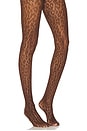 view 1 of 1 Leo Lace Tights in Umber