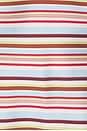 view 4 of 4 VESTIDO BIAS MINI in Vintage Stripe