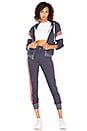 view 4 of 4 Varsity Stripe Jack Jogger in Oxford