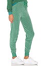 view 2 of 4 Jack Jogger in Envy